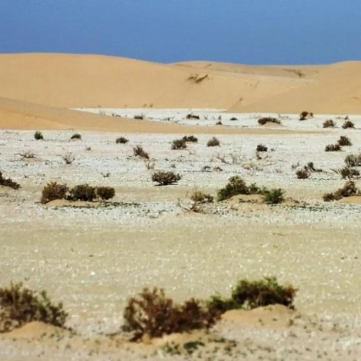 Israel Constructed a Covert Military Installation in Iraq: A Shepherd Came Close to Discovering It.