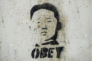 North Korean defector gives haunting interview