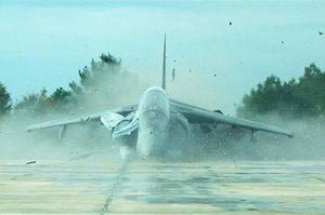 Throwback Thursday: Jet lands on pile of mattresses