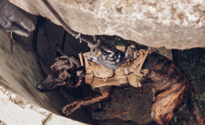 Defense innovators Aspetto and Recon K-9 plan strategic partnership