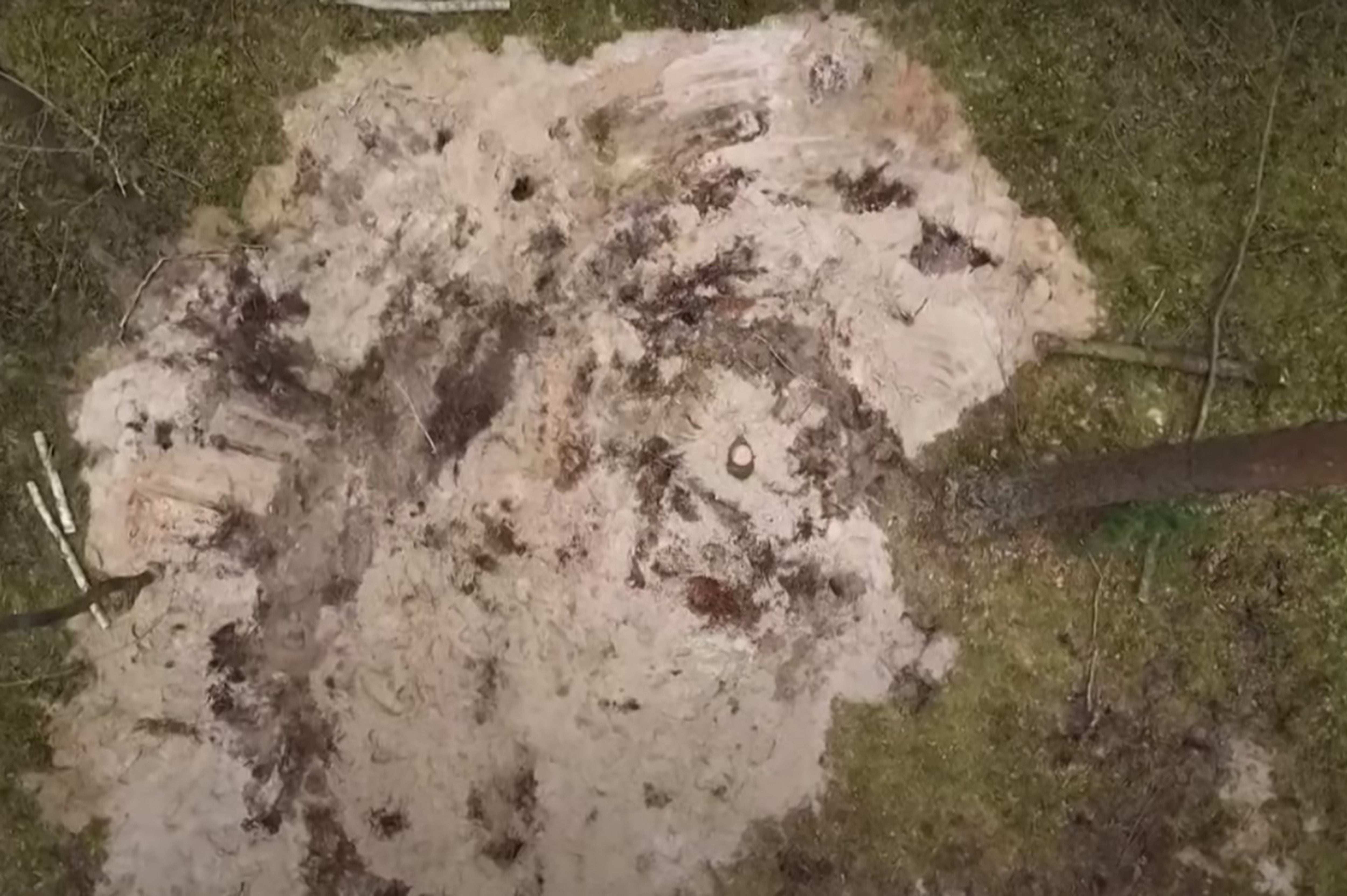 Poland has a secret military project