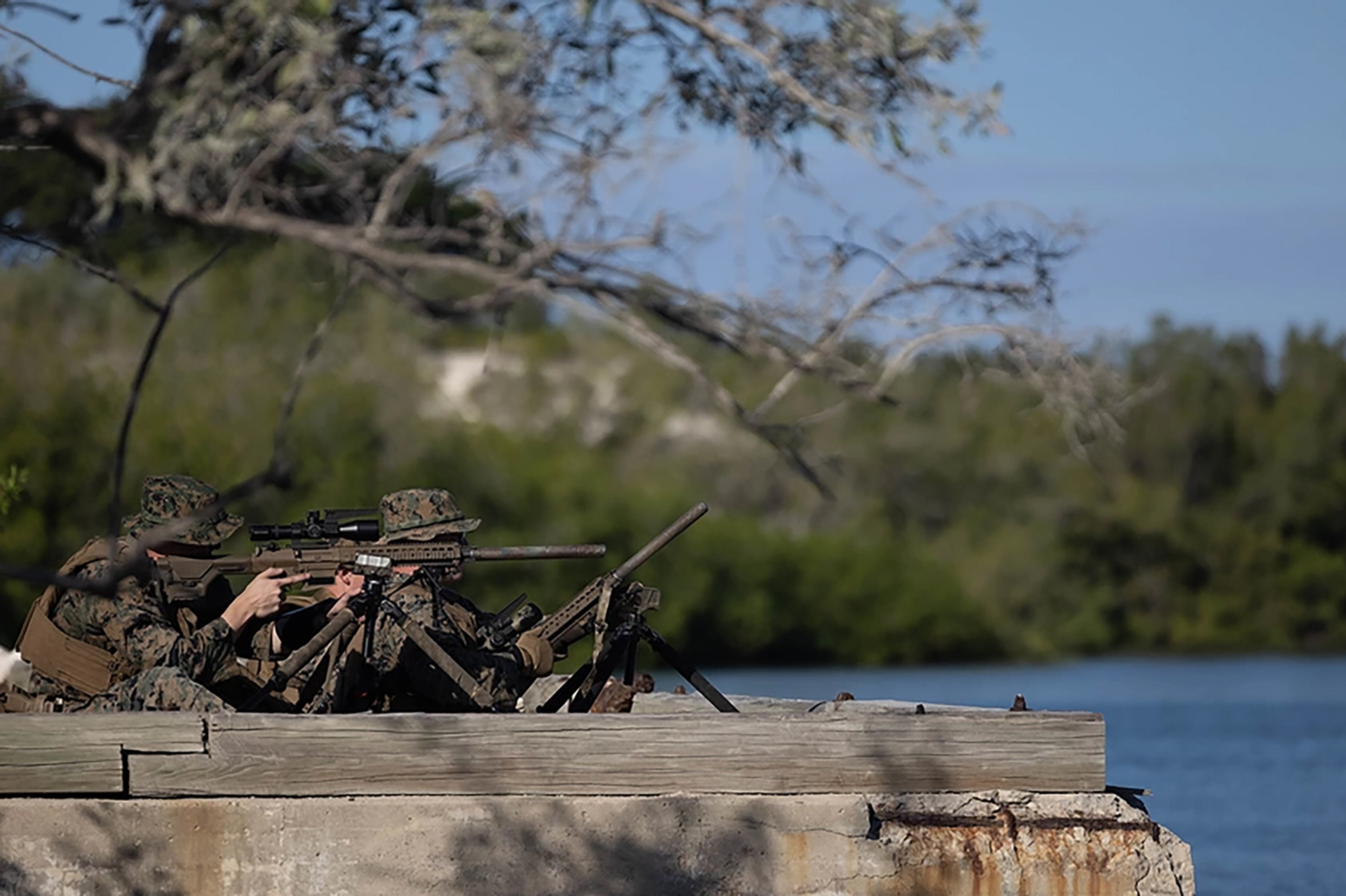 U.S. transfers Guantanamo detainee to home country of Algeria