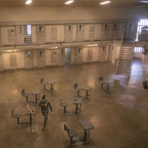 Veteran Incarceration: one third of all vets polled report having been arrested