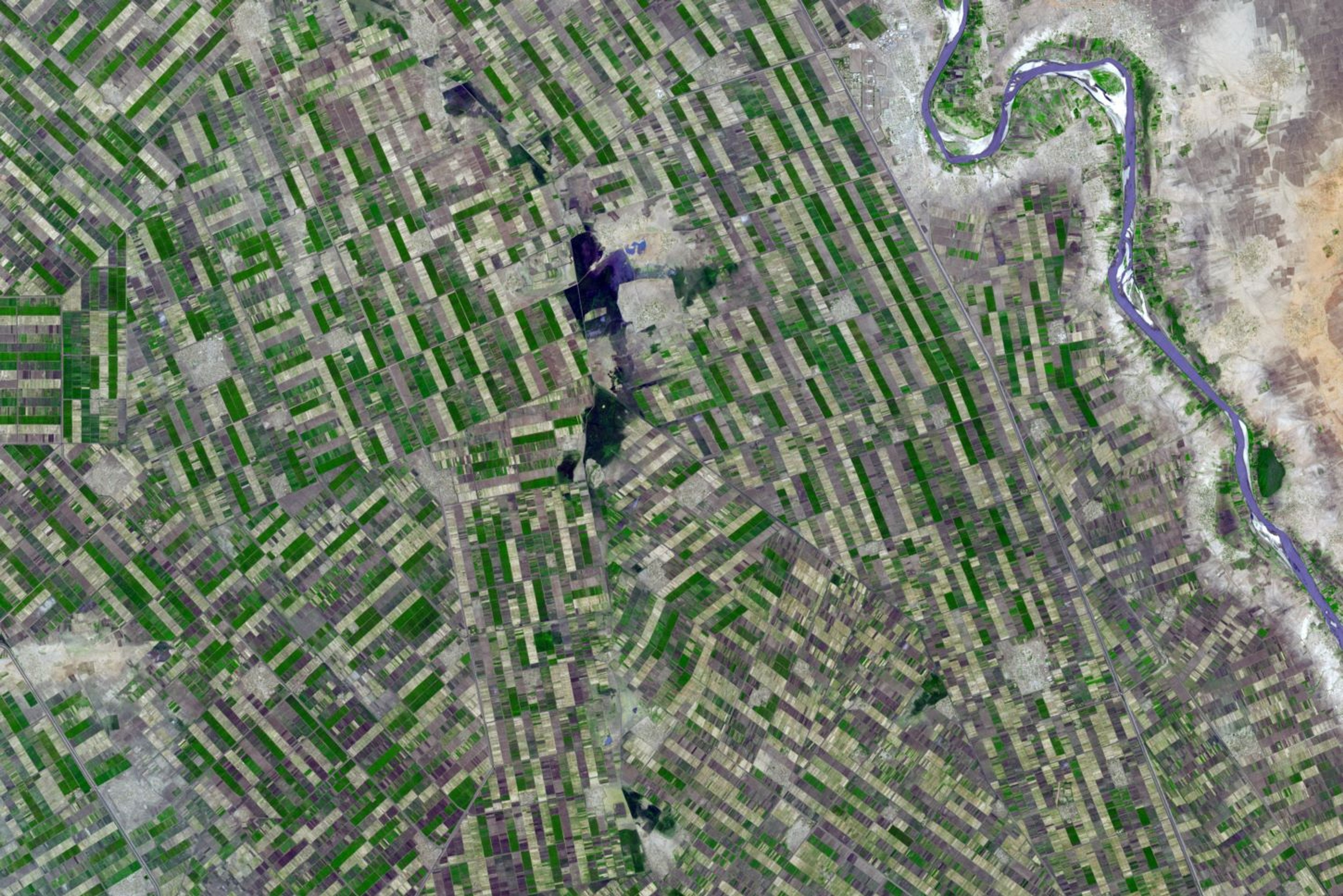 Sudan military threatened by local paramilitary forces