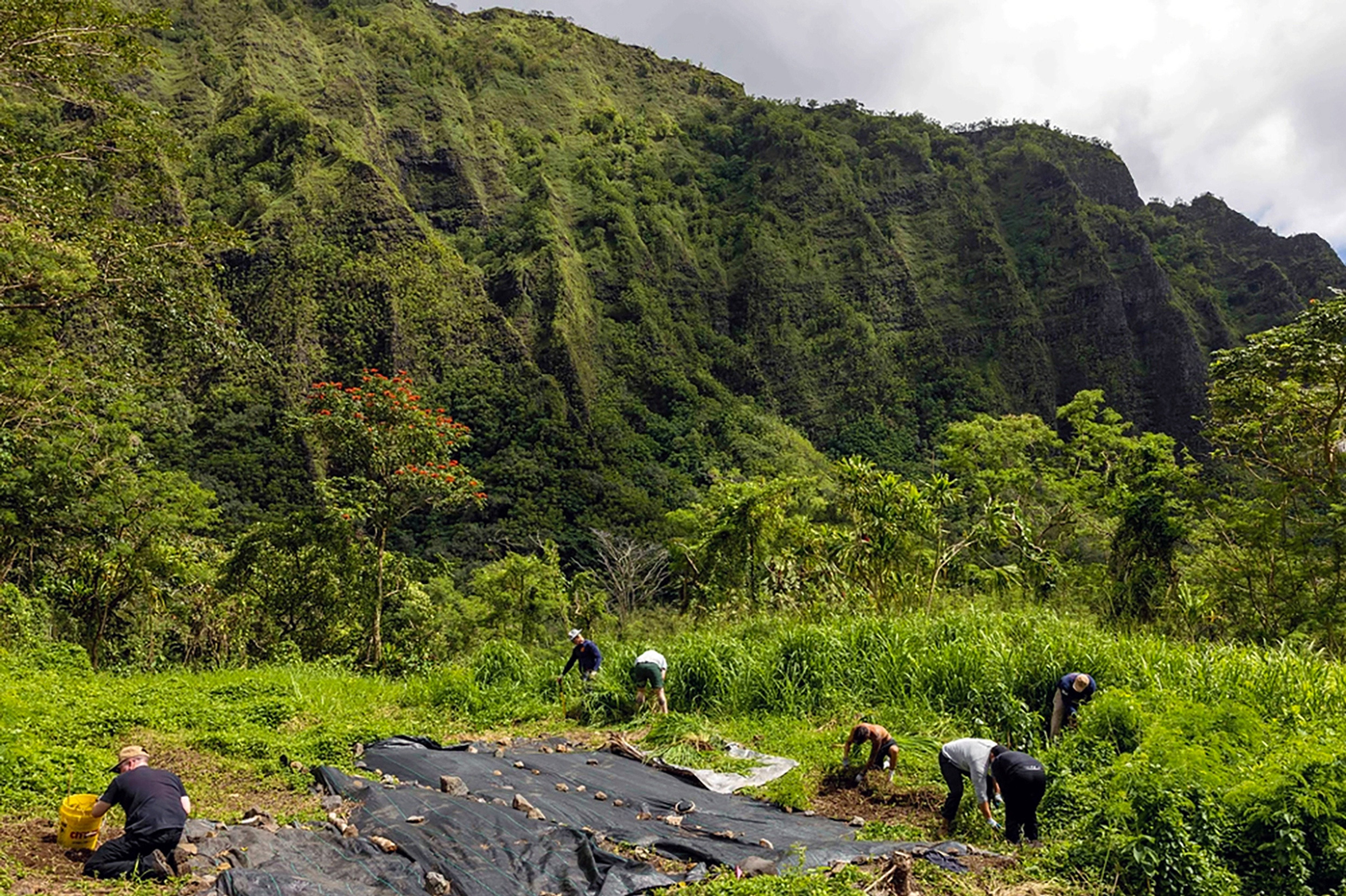Military training areas in Hawaii under scrutiny