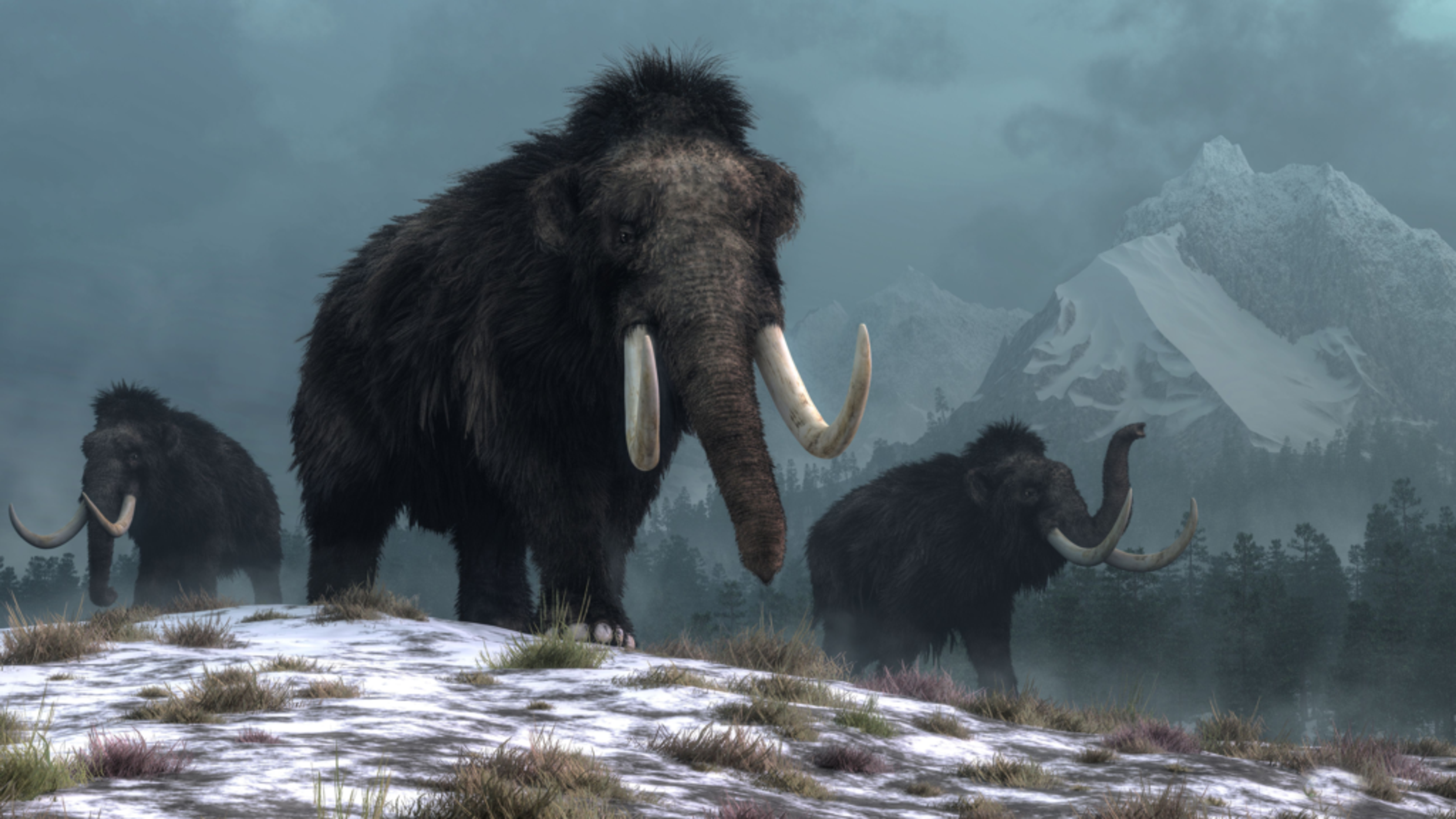 Ancient “zombie viruses” found in mammoth and wolf remains