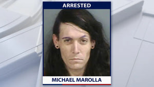 Florida man with guns, drugs, baby alligator in truck arrested by deputies
