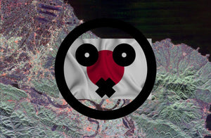 Taiwan: Japanese report on retired Taiwanese military is B.S.