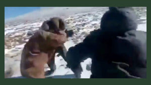 Video: Indian and Chinese soldiers settle border dispute with fists