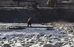Three Terrorists Killed in Foiled Infiltration Attempt at Pakistan-Afghanistan Border