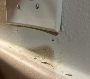 Dozens of Families Displaced Because of "Rotting" Base Housing in Camp Lejeune