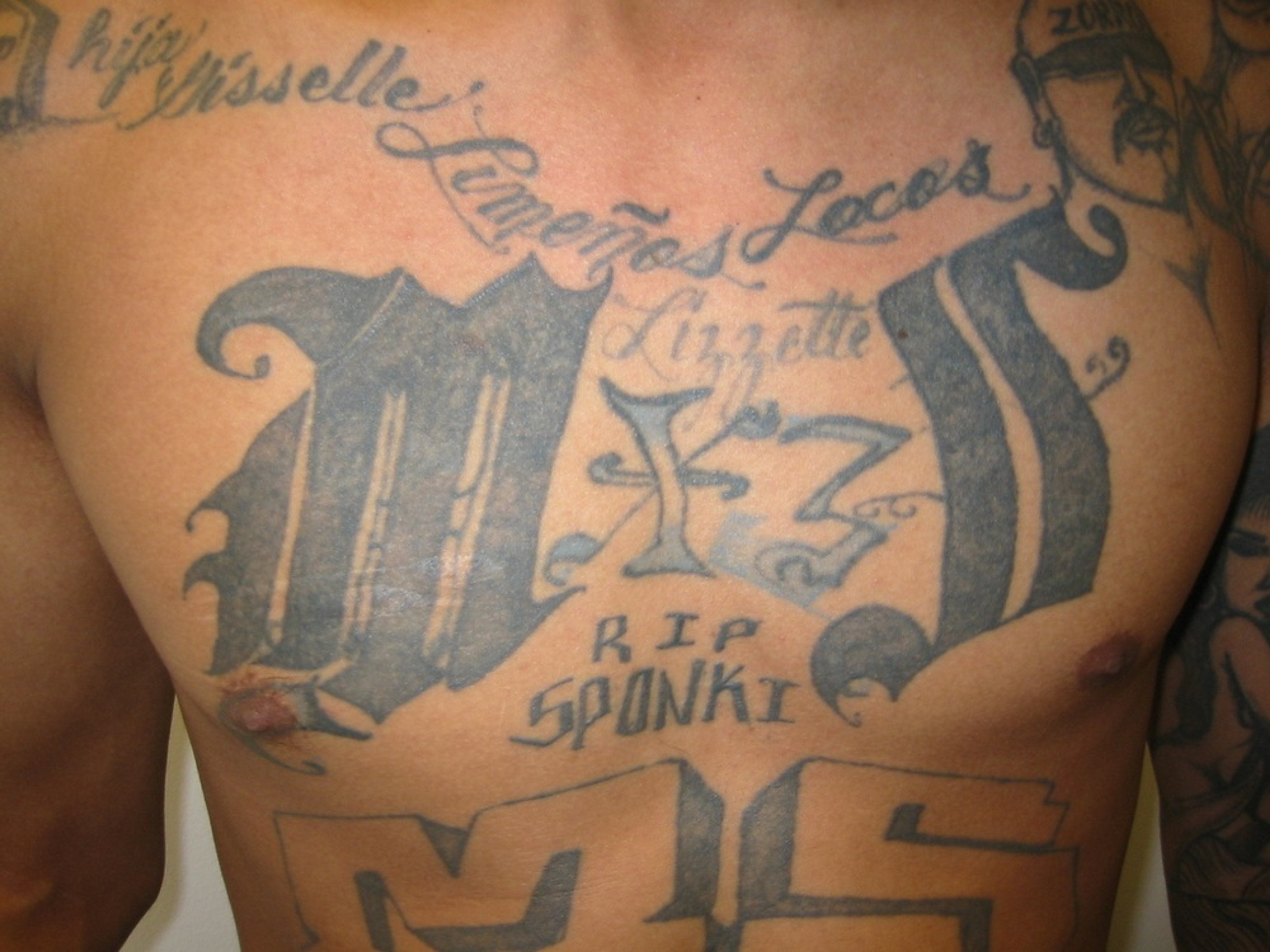 MS-13 Leader Arrested and Charged with Firearm Possession