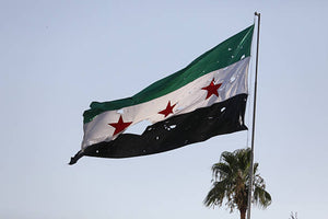 Syria and Druze Leaders Announce Renewed Ceasefire Amid Clashes and Israeli Strikes