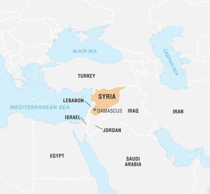 Video Shows Killing of Medical Worker in Southern Syria Amid Sectarian Clashes