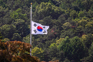 South Korea Elevates Cyber Threat Level After Datacentre Fire Disrupts 647 Government Systems