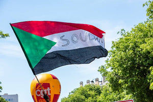 Mass Killings Reported as RSF Seizes Al-Fashir in Darfur Siege