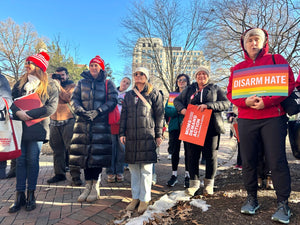 Virginia House Advances Sweeping Gun Control Bills
