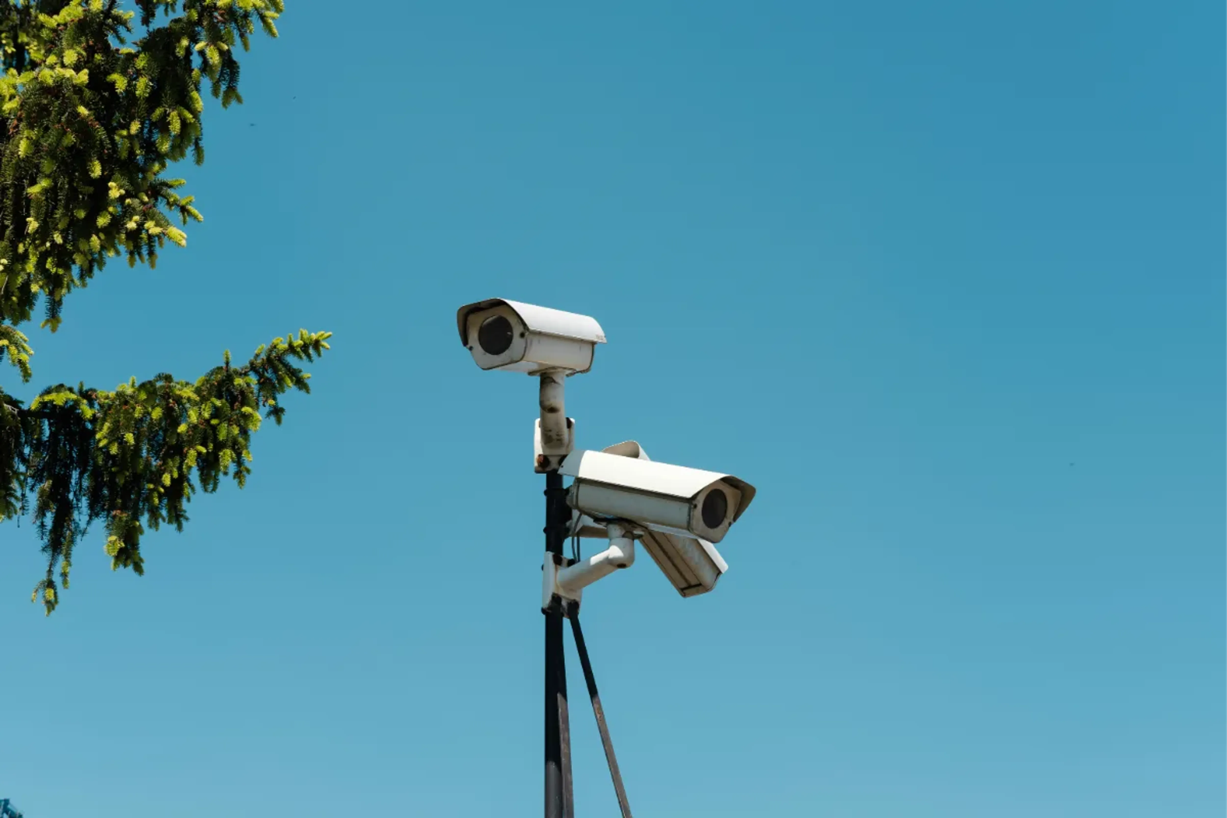 License Plate Cameras Could Track Your Phone Now