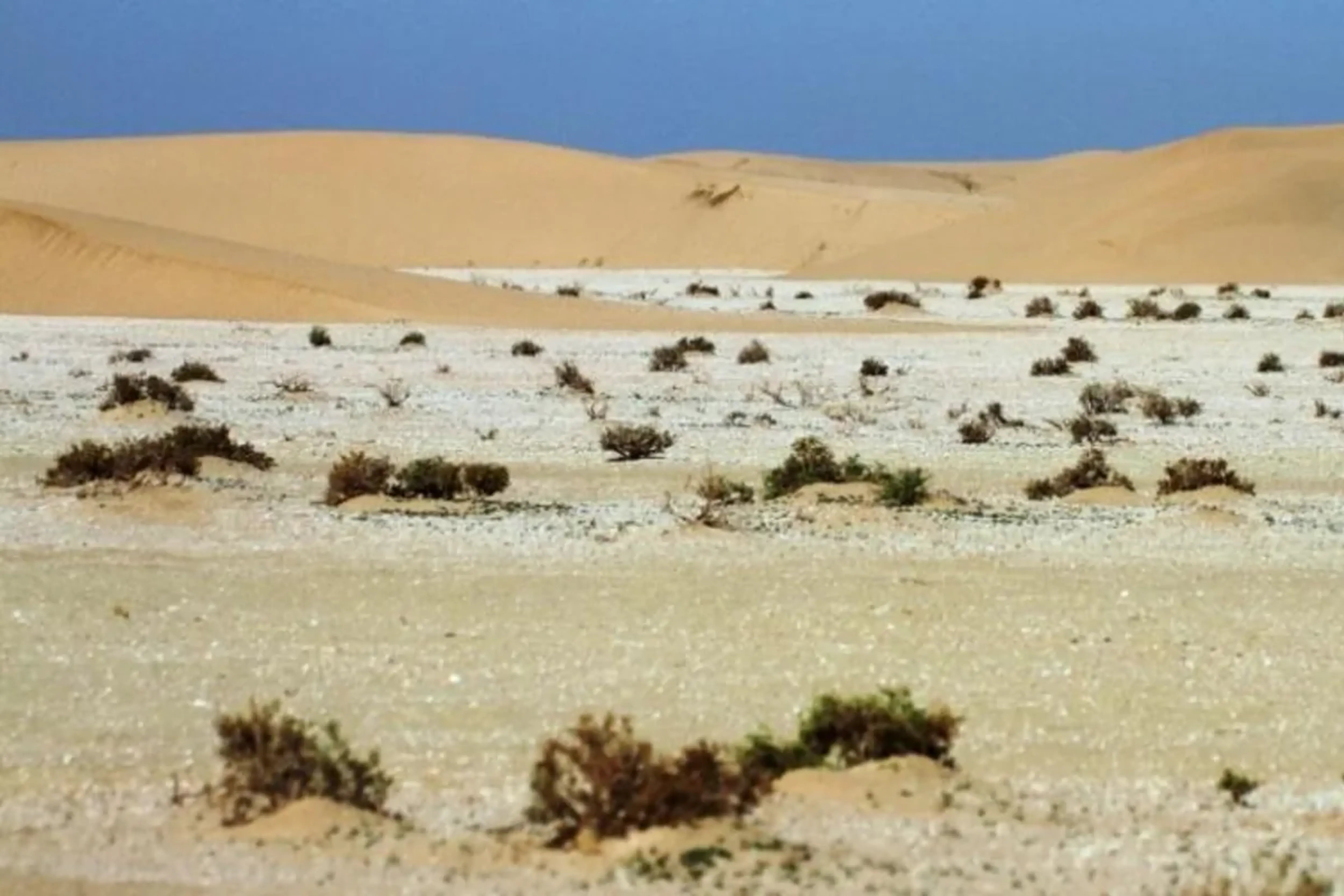 Israel Built a Secret Military Base Inside Iraq. A Shepherd Nearly Blew Its Cover.