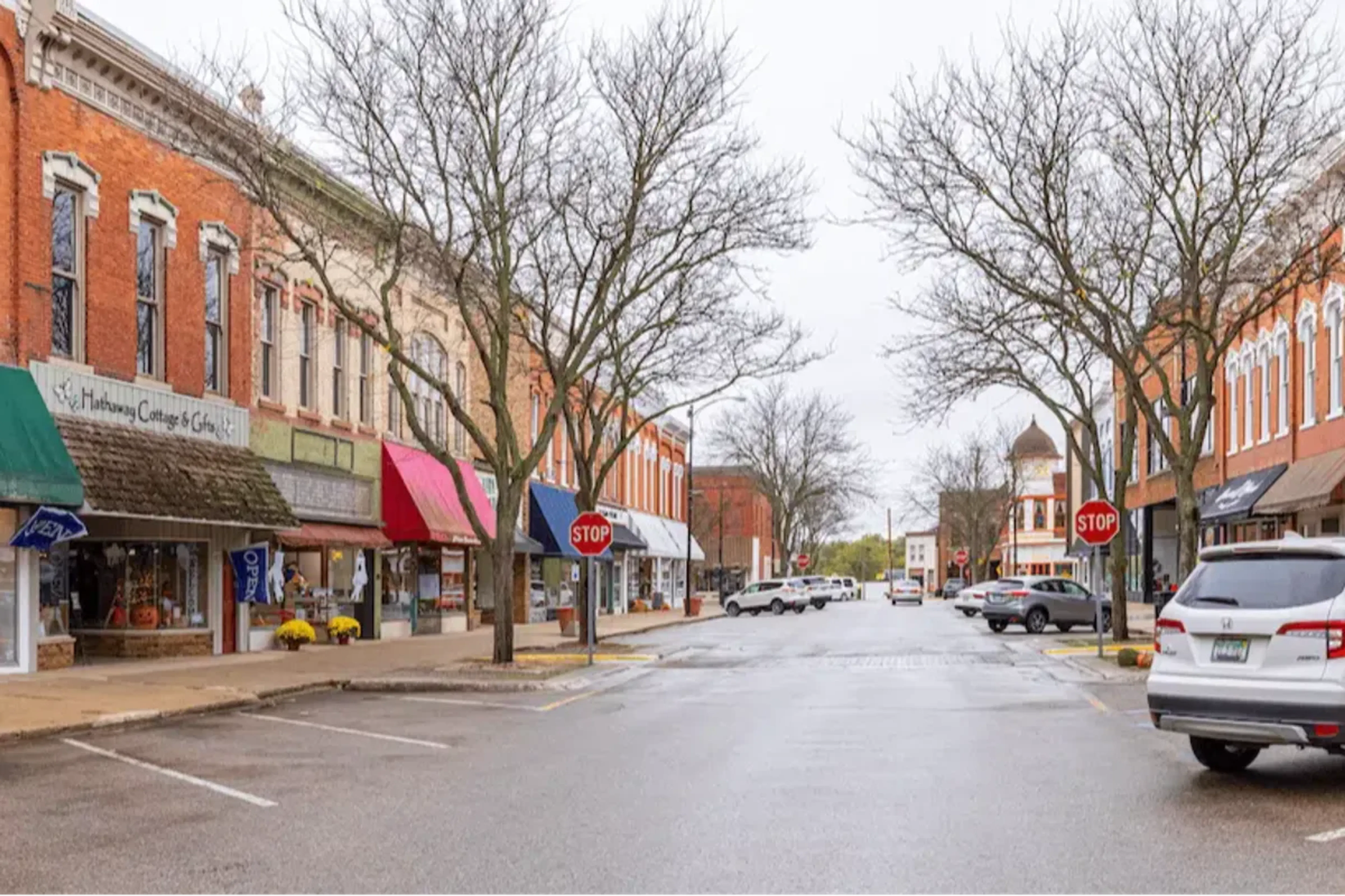 Vigilante Teens Caught Attacking Sex Offenders in Michigan