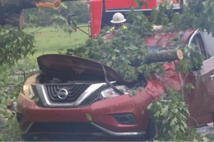 Combat Medic Veteran Races into Dangerous Rescue after Tree Crush