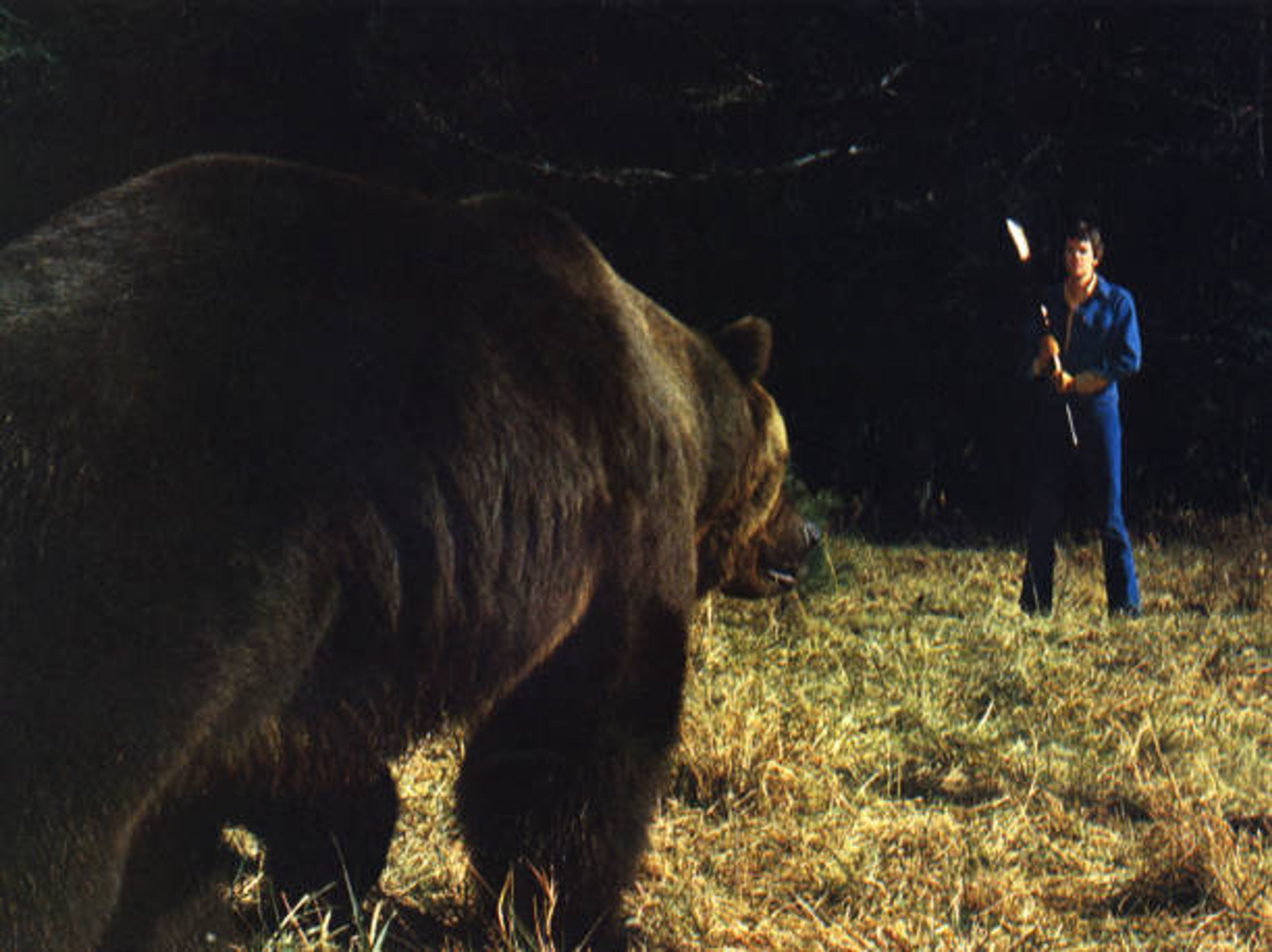 Grizzly Attack Injures 11 In Bella Coola