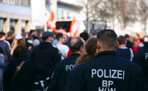Wolf Attack Injures Woman in Hamburg